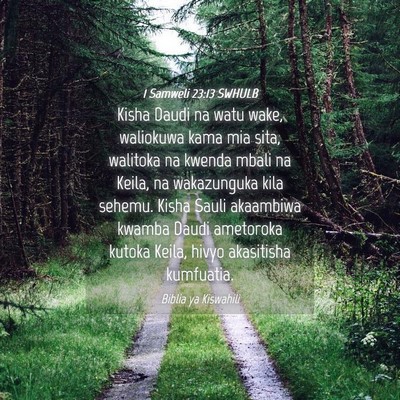 Picture 04 - 1 Samweli 23:13 SWHULB - Kisha Daudi na watu wake, waliokuwa kama mia - Bible Verse Picture