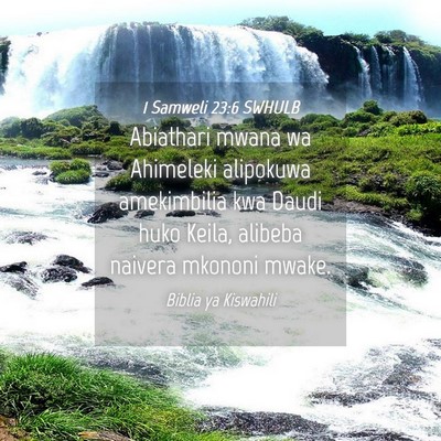 Picture 04 - 1 Samweli 23:6 SWHULB - Abiathari mwana wa Ahimeleki alipokuwa - Bible Verse Picture