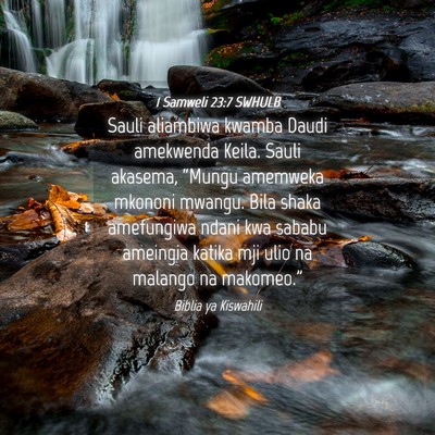 Picture 04 - 1 Samweli 23:7 SWHULB - Sauli aliambiwa kwamba Daudi amekwenda Keila. - Bible Verse Picture