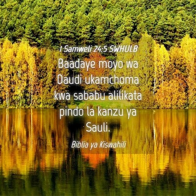 Picture 04 - 1 Samweli 24:5 SWHULB - Baadaye moyo wa Daudi ukamchoma kwa sababu - Bible Verse Picture