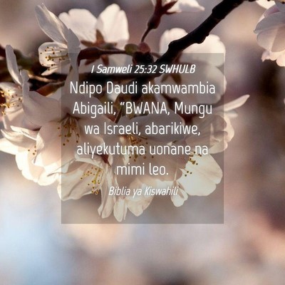 Picture 04 - 1 Samweli 25:32 SWHULB - Ndipo Daudi akamwambia Abigaili, “BWANA, Mungu - Bible Verse Picture