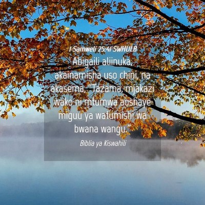 Picture 04 - 1 Samweli 25:41 SWHULB - Abigaili aliinuka, akainamisha uso chini, na - Bible Verse Picture
