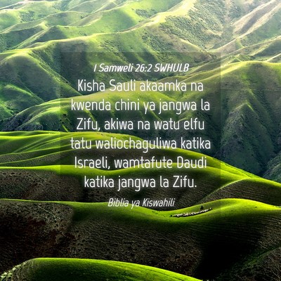 Picture 04 - 1 Samweli 26:2 SWHULB - Kisha Sauli akaamka na kwenda chini ya jangwa la - Bible Verse Picture