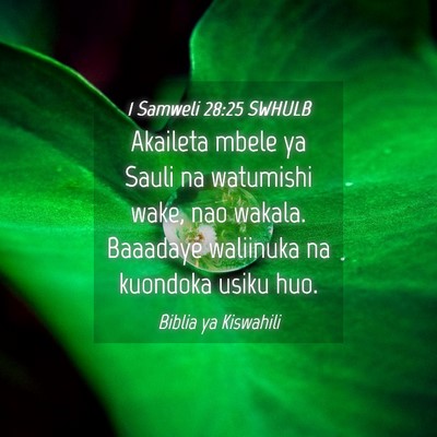 Picture 04 - 1 Samweli 28:25 SWHULB - Akaileta mbele ya Sauli na watumishi wake, nao - Bible Verse Picture