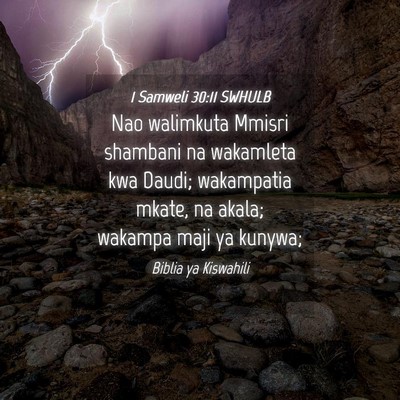 Picture 04 - 1 Samweli 30:11 SWHULB - Nao walimkuta Mmisri shambani na wakamleta kwa - Bible Verse Picture