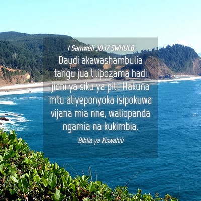 Picture 04 - 1 Samweli 30:17 SWHULB - Daudi akawashambulia tangu jua lilipozama hadi - Bible Verse Picture