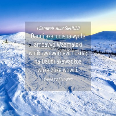 Picture 04 - 1 Samweli 30:18 SWHULB - Daudi akarudisha vyote ambavyo Waamaleki walikuwa - Bible Verse Picture
