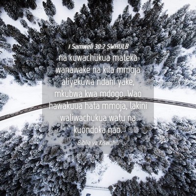 Picture 04 - 1 Samweli 30:2 SWHULB - na kuwachukua mateka wanawake na kila mmoja - Bible Verse Picture