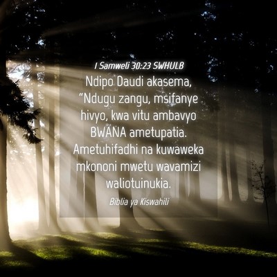 Picture 04 - 1 Samweli 30:23 SWHULB - Ndipo Daudi akasema, “Ndugu zangu, msifanye - Bible Verse Picture