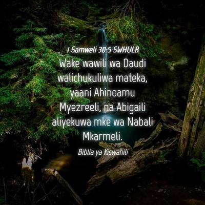 Picture 04 - 1 Samweli 30:5 SWHULB - Wake wawili wa Daudi walichukuliwa mateka, yaani - Bible Verse Picture