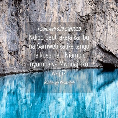 Picture 04 - 1 Samweli 9:18 SWHULB - Ndipo Sauli akaja karibu na Samweli katika lango - Bible Verse Picture
