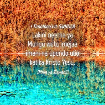 Picture 04 - 1 Timotheo 1:14 SWHULB - Lakini neema ya Mungu wetu imejaa imani na upendo - Bible Verse Picture