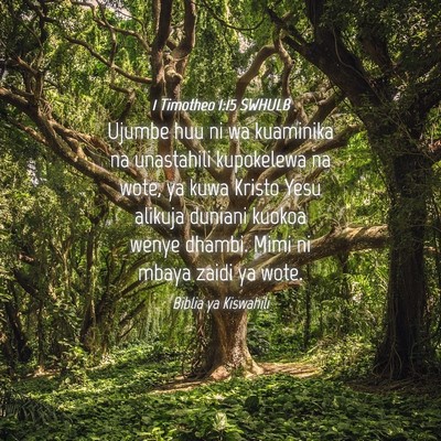 Picture 04 - 1 Timotheo 1:15 SWHULB - Ujumbe huu ni wa kuaminika na unastahili - Bible Verse Picture