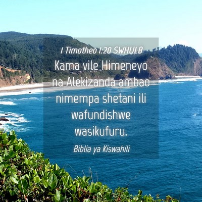 Picture 04 - 1 Timotheo 1:20 SWHULB - Kama vile Himeneyo na Alekizanda ambao nimempa - Bible Verse Picture