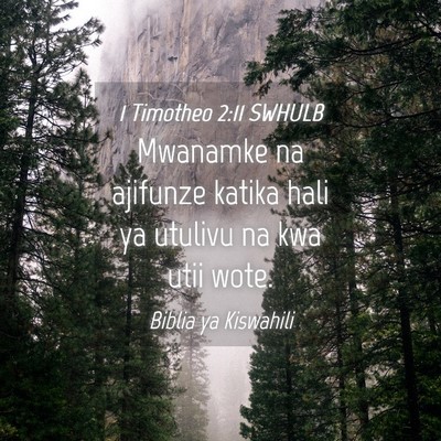Picture 04 - 1 Timotheo 2:11 SWHULB - Mwanamke na ajifunze katika hali ya utulivu na - Bible Verse Picture