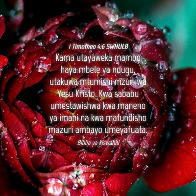 Picture 04 - 1 Timotheo 4:6 SWHULB - Kama utayaweka mambo haya mbele ya ndugu, utakuwa - Bible Verse Picture