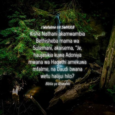 Picture 04 - 1 Wafalme 1:11 SWHULB - Kisha Nathani akamwambia Bethisheba mama wa - Bible Verse Picture