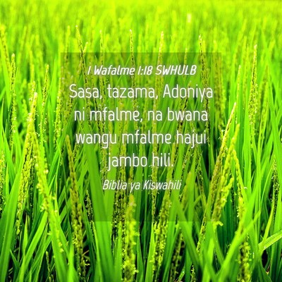 Picture 04 - 1 Wafalme 1:18 SWHULB - Sasa, tazama, Adoniya ni mfalme, na bwana wangu - Bible Verse Picture