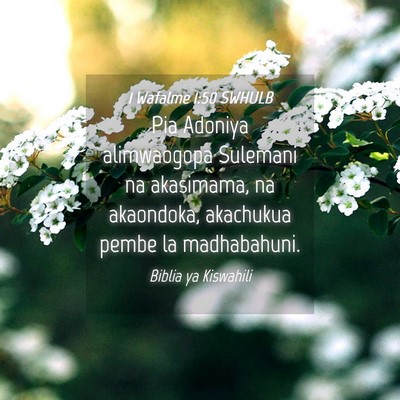 Picture 04 - 1 Wafalme 1:50 SWHULB - Pia Adoniya alimwaogopa Sulemani na akasimama, na - Bible Verse Picture