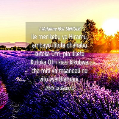 Picture 04 - 1 Wafalme 10:11 SWHULB - Ile merikebu ya Hiramu, ambayo ilileta dhahabu - Bible Verse Picture