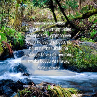 Picture 04 - 1 Wafalme 10:25 SWHULB - Na wote waliomtembelea walilipa Kodi, vyombo vya - Bible Verse Picture