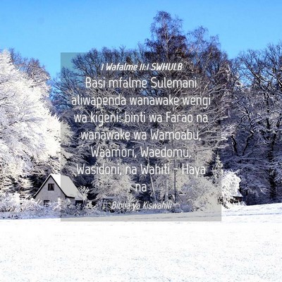 Picture 04 - 1 Wafalme 11:1 SWHULB - Basi mfalme Sulemani aliwapenda wanawake wengi wa - Bible Verse Picture
