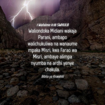 Picture 04 - 1 Wafalme 11:18 SWHULB - Waliondoka Midiani wakaja Parani, ambapo - Bible Verse Picture