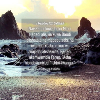 Picture 04 - 1 Wafalme 11:21 SWHULB - Naye alipokuwa huko Misri, Hadadi alisikia kuwa - Bible Verse Picture