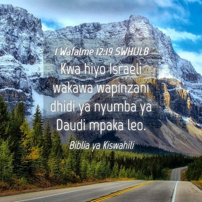 Picture 04 - 1 Wafalme 12:19 SWHULB - Kwa hiyo Israeli wakawa wapinzani dhidi ya nyumba - Bible Verse Picture