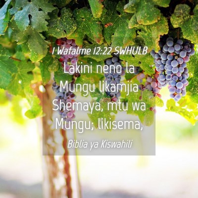 Picture 04 - 1 Wafalme 12:22 SWHULB - Lakini neno la Mungu likamjia Shemaya, mtu wa - Bible Verse Picture