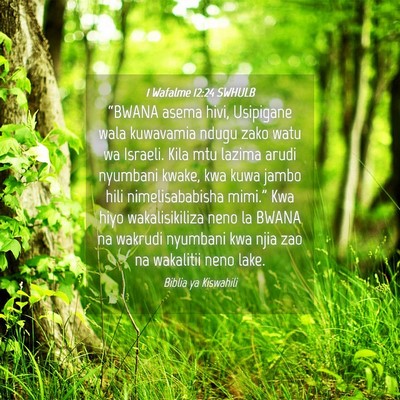 Picture 04 - 1 Wafalme 12:24 SWHULB - “BWANA asema hivi, Usipigane wala kuwavamia - Bible Verse Picture