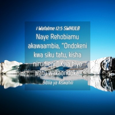 Picture 04 - 1 Wafalme 12:5 SWHULB - Naye Rehobiamu akawaambia, “Ondokeni kwa siku - Bible Verse Picture