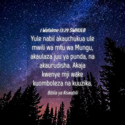 Picture 04 - 1 Wafalme 13:29 SWHULB - Yule nabii akauchukua ule mwili wa mtu wa Mungu, - Bible Verse Picture