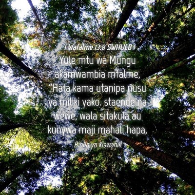 Picture 04 - 1 Wafalme 13:8 SWHULB - Yule mtu wa Mungu akamwambia mfalme, “Hata kama - Bible Verse Picture