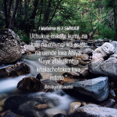 Picture 04 - 1 Wafalme 14:3 SWHULB - Uchukue mikate kumi, na kaki na mtungi wa asali, - Bible Verse Picture