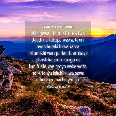 Picture 04 - 1 Wafalme 14:8 SWHULB - Niliugawa ufalme kutoka kwa Daudi na kukupa wewe, - Bible Verse Picture