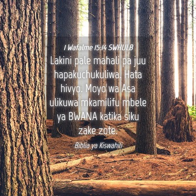 Picture 04 - 1 Wafalme 15:14 SWHULB - Lakini pale mahali pa juu hapakuchukuliwa. Hata - Bible Verse Picture