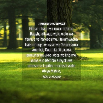Picture 04 - 1 Wafalme 15:29 SWHULB - Mara tu baad ya kuwa mfalme, Baasha aliwaua watu - Bible Verse Picture