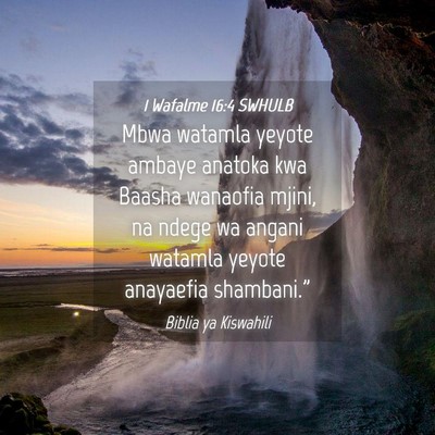 Picture 04 - 1 Wafalme 16:4 SWHULB - Mbwa watamla yeyote ambaye anatoka kwa Baasha - Bible Verse Picture