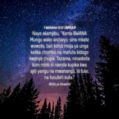 Picture 04 - 1 Wafalme 17:12 SWHULB - Naye akamjibu, “Kama BWANA Mungu wako aishivyo, - Bible Verse Picture