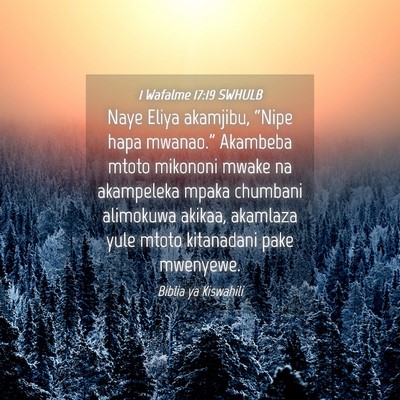 Picture 04 - 1 Wafalme 17:19 SWHULB - Naye Eliya akamjibu, “Nipe hapa mwanao.” - Bible Verse Picture