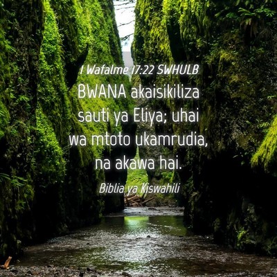 Picture 04 - 1 Wafalme 17:22 SWHULB - BWANA akaisikiliza sauti ya Eliya; uhai wa mtoto - Bible Verse Picture