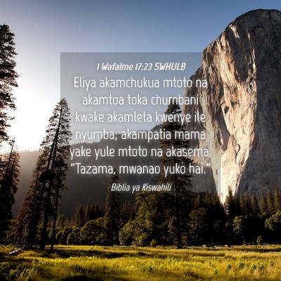 Picture 04 - 1 Wafalme 17:23 SWHULB - Eliya akamchukua mtoto na akamtoa toka chumbani - Bible Verse Picture