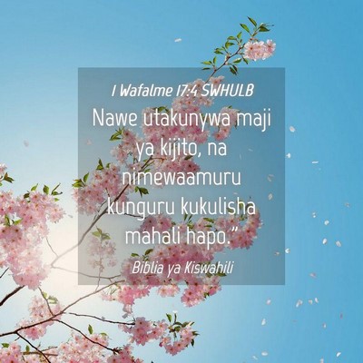 Picture 04 - 1 Wafalme 17:4 SWHULB - Nawe utakunywa maji ya kijito, na nimewaamuru - Bible Verse Picture