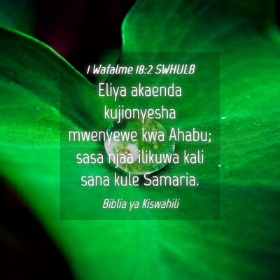 Picture 04 - 1 Wafalme 18:2 SWHULB - Eliya akaenda kujionyesha mwenyewe kwa Ahabu; - Bible Verse Picture