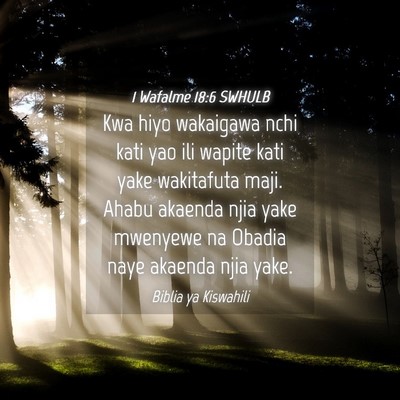 Picture 04 - 1 Wafalme 18:6 SWHULB - Kwa hiyo wakaigawa nchi kati yao ili wapite kati - Bible Verse Picture
