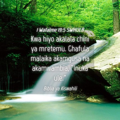 Picture 04 - 1 Wafalme 19:5 SWHULB - Kwa hiyo akalala chini ya mretemu. Ghafula - Bible Verse Picture