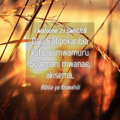 Picture 04 - 1 Wafalme 2:1 SWHULB - Daudi alipokaribia kufa, alimwamuru Sulemani - Bible Verse Picture