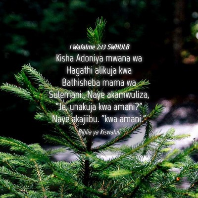 Picture 04 - 1 Wafalme 2:13 SWHULB - Kisha Adoniya mwana wa Hagathi alikuja kwa - Bible Verse Picture
