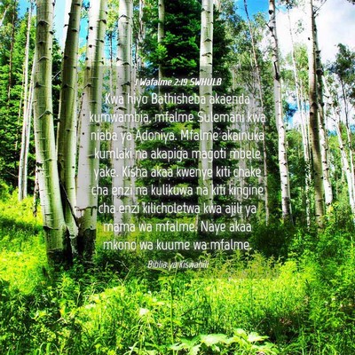 Picture 04 - 1 Wafalme 2:19 SWHULB - Kwa hiyo Bathisheba akaenda kumwambia, mfalme - Bible Verse Picture